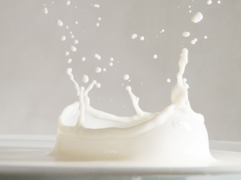 DPA Vorschau Bild für Artikel: Infektionsrisiko / Hype-Getränk: Wer besser keine Rohmilch trinken sollte  