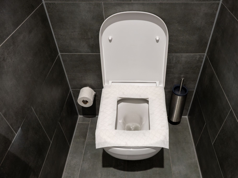 DPA Vorschau Bild für Artikel: Welttoilettentag / Papier auf die Brille? Hygiene-Tipps für öffentliche Klos  