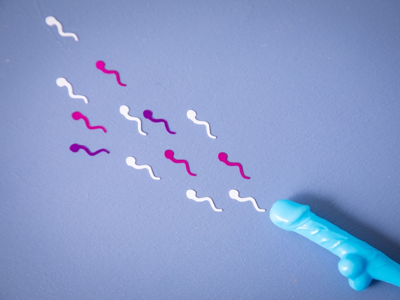 Magazine Content Bild