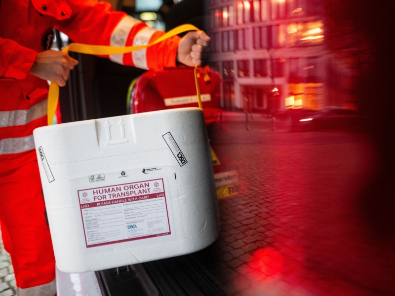 DPA Vorschau Bild für Artikel: Von Ausweis bis Register / Organspende-Entscheidung festhalten: Diese Wege gibt es  