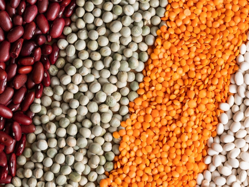 DPA Vorschau Bild für Artikel: Wissen für Veggies / Eiweißbedarf pflanzlich decken? Worauf es dabei ankommt  