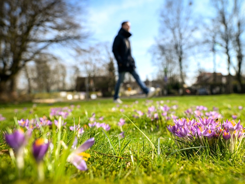 Magazine Content Bild