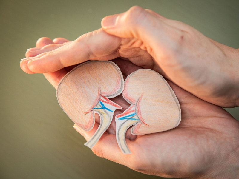 DPA Vorschau Bild für Artikel: Klärwerk des Körpers / Was wir selbst für gesunde Nieren tun können