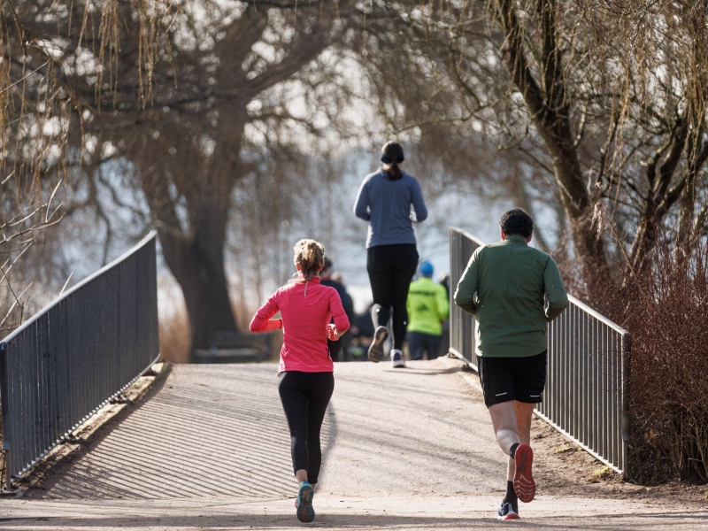 Magazine Content Bild