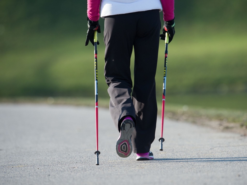 Magazine Content Bild