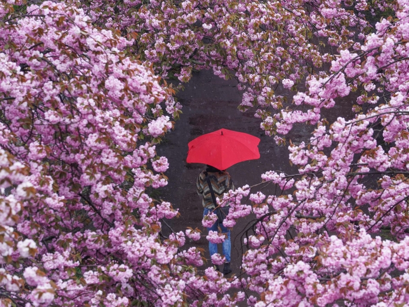 DPA Vorschau Bild für Artikel: Psychische Gesundheit / Frühjahrsdepression: Gibt es das, oder was steckt dahinter?  